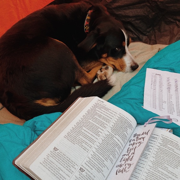 Meet your Posher, Suzanna - Picture 3 of 5